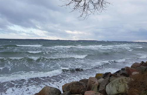 Strandappartement Steinberghaff "zur Birk" mit Meerblick - Foto 16