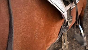 Villa Casina dell'Etna - Foto 2