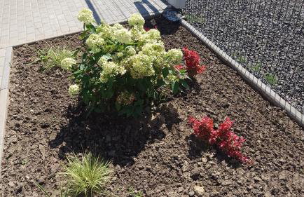 Bukowska House - Foto 67