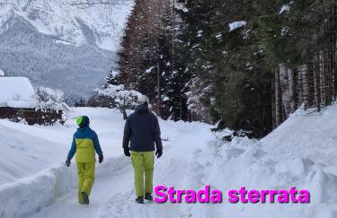 Baita Pra Petina Pale di San Martino - Photo 56