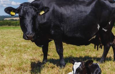 Broomhill Barns - Foto 60