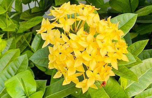 Vivenda São José - Oceanfront Paradise - Photo 31