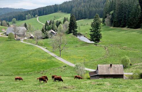 Rutscherhof Breitnau - Photo 33