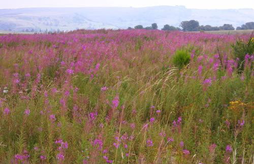 Résidence Espinchal - Photo 15