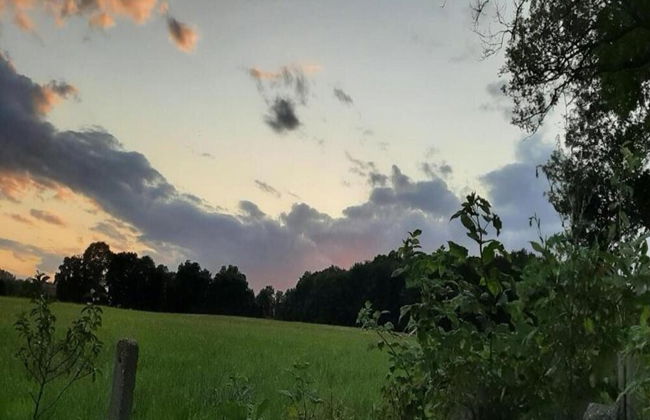 Apartment With Views of the Ore Mountains - Foto 17