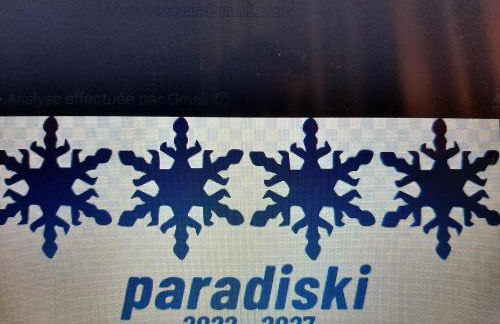 RESIDENCE LE RUITOR Duplex dernier étage vue panoramique classé 4 Cristaux Paradiski - Foto 37