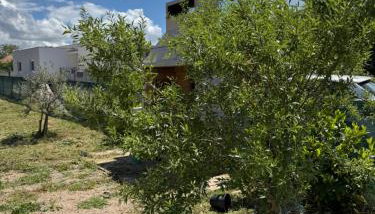 Barbie's House - Foto 5, Garden view