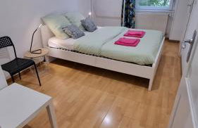 Mulhouse gare, au bout du quai - Foto 6