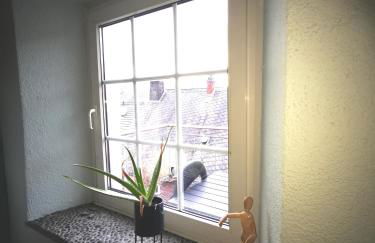 Mooi ruim appartement in antieke stadsboerderij - Foto 11