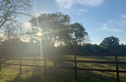 The Paddocks - Spacious annexe with rural outlook. - Foto 26