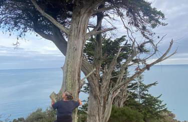 La petite duchesse - jaccuzzi - Foto 36