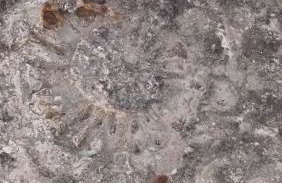 Lovely Cottage Rental with Waterfall on San Gabriel River near Austin, Texas - Foto 40