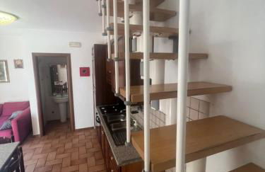 Roma Chic 2008 - Foto 10