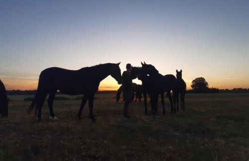 Ferienwohnung Sültemeier 1 - Foto 17