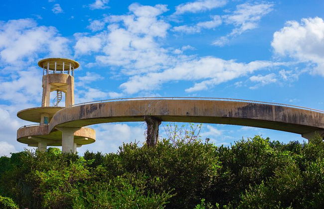 Big Cypress National Preserve Self Guided Driving Audio Tour - Photo 7