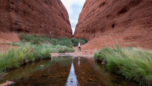 Kata Tjuta and Valley of the Winds - Full-Day Small Group Tour - Photo 3