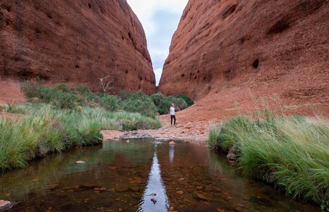 Kata Tjuta and Valley of the Winds - Full-Day Small Group Tour - Photo 3