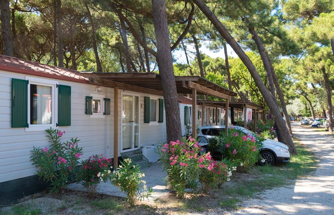 Beachy Comfort in Lido di Spina - Foto 28