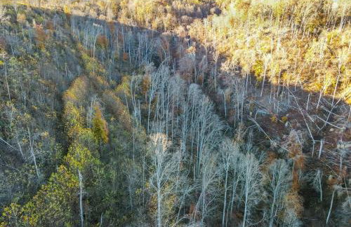 Spring Retreat Sauna, Hot Tub & Rooftop Firepit - Foto 51