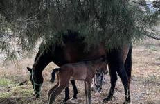 Romantic white Villa -private pool - Foto 56