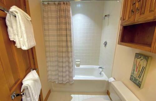 FC44 Renovated 3bed 3bath Forest Cottage AC views yard fast wifi Walk to skiing - Foto 31