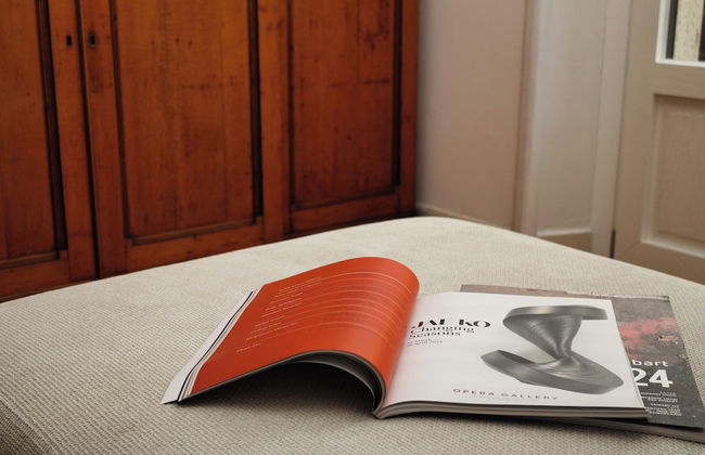 JOIVY Airy flat near the city centre - Foto 18