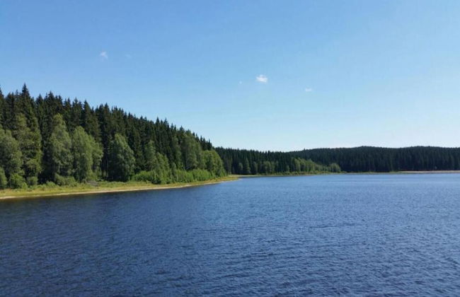 Ferienhaus mit Schwimmbad in Jagersgrun - Foto 33