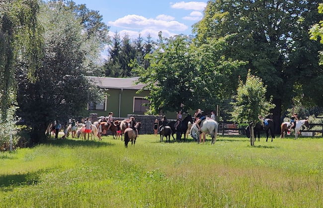 TinyHousebeiDresden unser größtes winziges Häuschen für bis zu 7 Personen, Kaminofen, große Terrasse - Nähe Sächsische Schweiz - Foto 13
