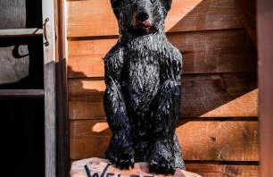 Collier Cabin on Collier Creek - Foto 71