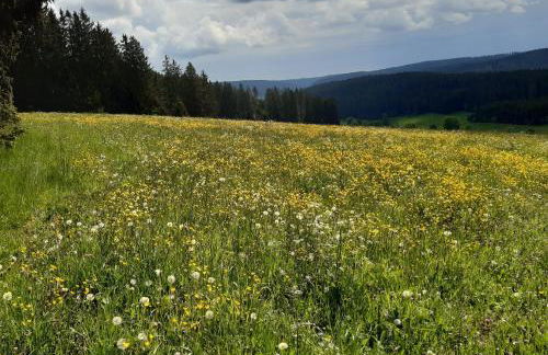 Oberengenbachhof - Foto 6