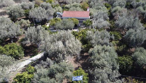 Villa Kavalino - Foto 4