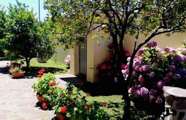 A casa di Iole - Foto 6