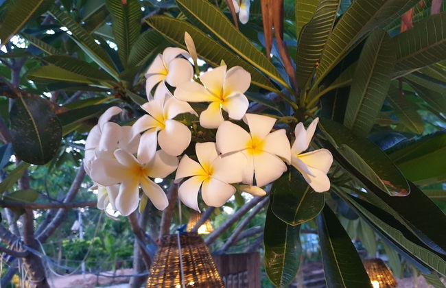 Ozone at farm - Photo 8