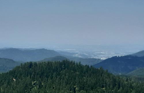 FeWo Schwarzwald von oben - Kniebis - Foto 23