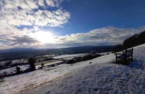 Coddiwomple - Foto 28