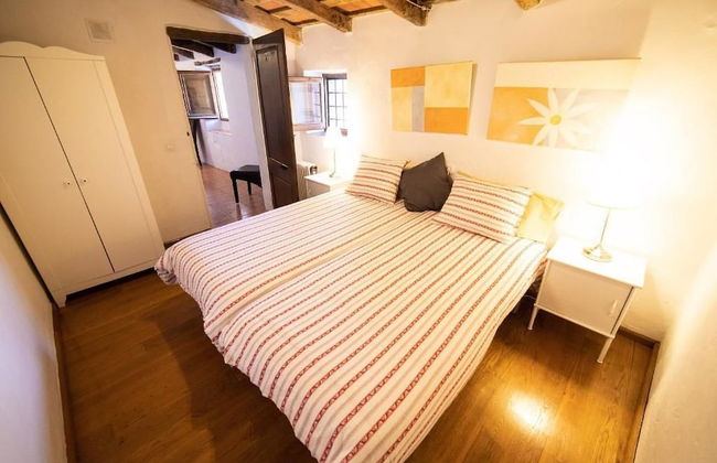 Mas Vedruna - Photo 11