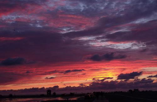 Das Koogsbauernhaus - Foto 19