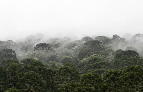 Vale Mandaçaia - Foto 54