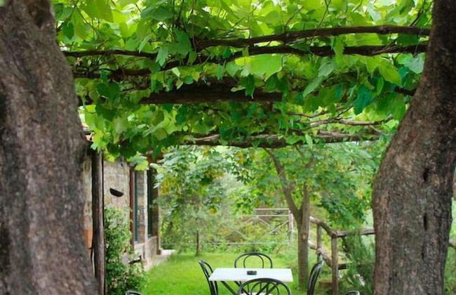 Fattoria Giunasco - Foto 60