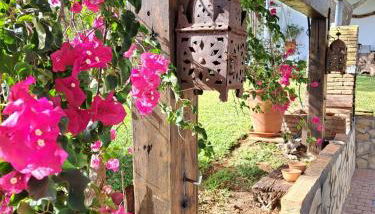 La Luciérnaga - Foto 4, Garden