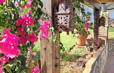 La Luciérnaga - Foto 4