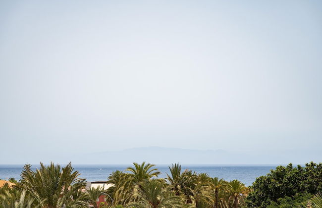 ALEGRIA Barranco - Photo 59