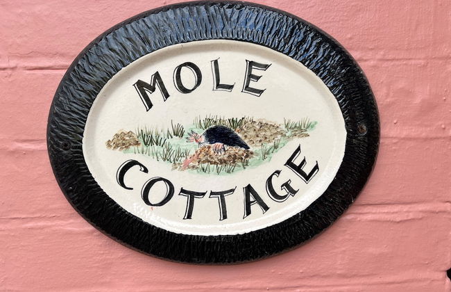 Mole Cottage - Foto 46
