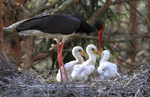 Quinta das Arribas - Foto 30