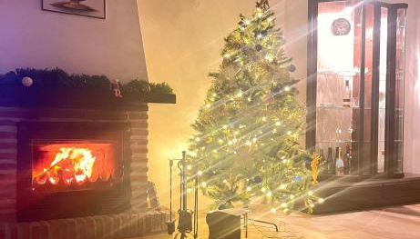 Vega’s Love - Photo 5