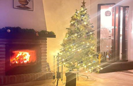 Vega’s Love - Foto 5