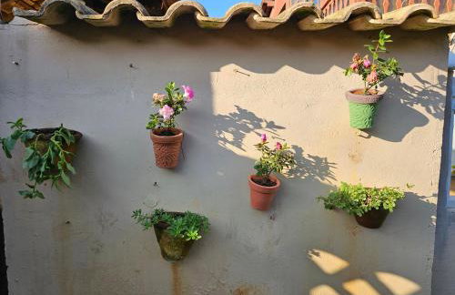 Chalé das Conchas - Foto 14