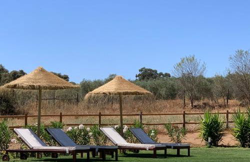 Monte Capitão Country house - Foto 30