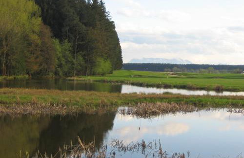 Zehentmayrhof - Photo 61