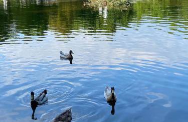 Appartementhof Stadler - Foto 40